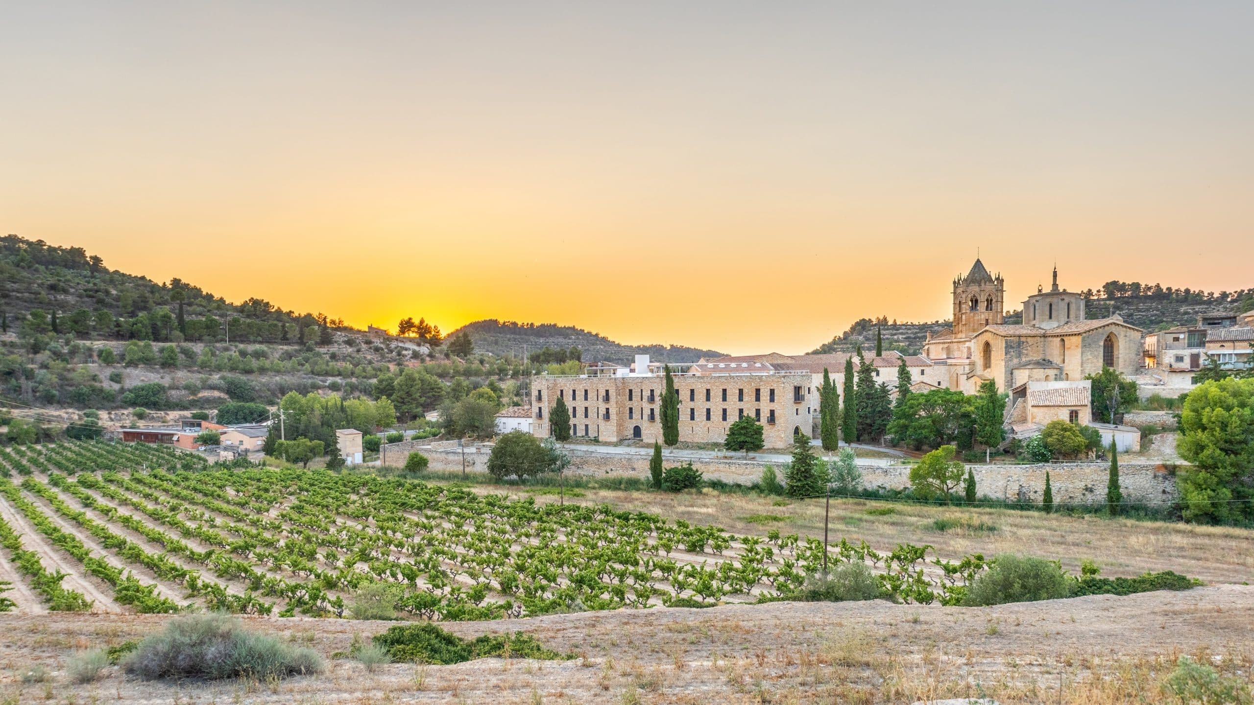 Monastery,And,Vineyards,In,Vallbona,De,Les,Monges,At,Sunset.