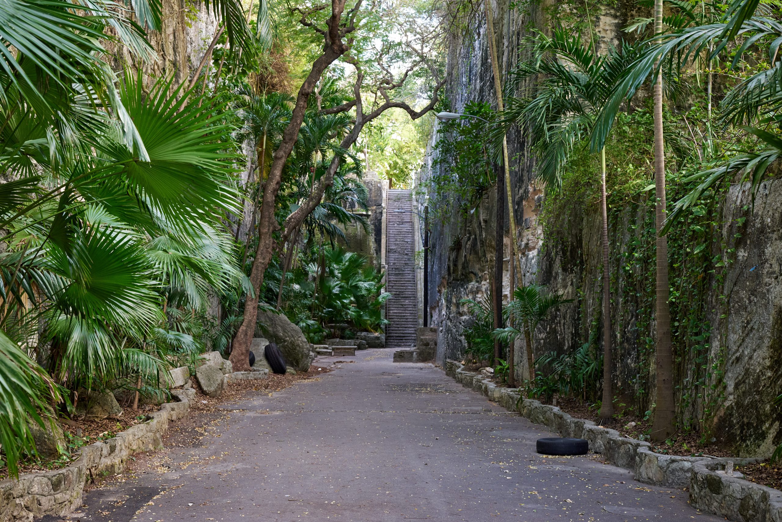 The,Beautiful,Shot,Of,The,Queens,Staircase,In,Nassau,,Bahamas