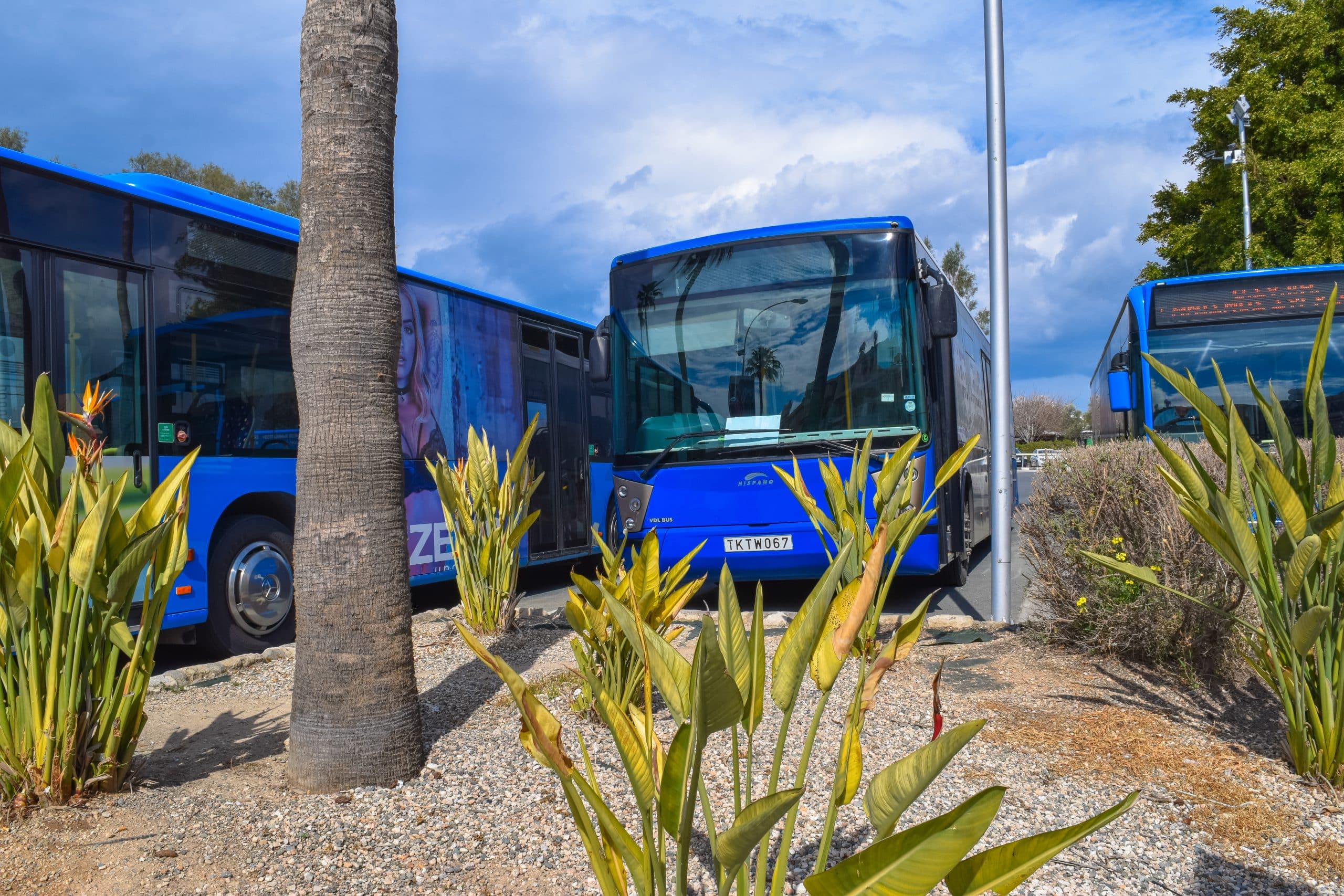 Paphos/cyprus,-,February,14,2017:,Buses,At,Kato,Paphos,Main