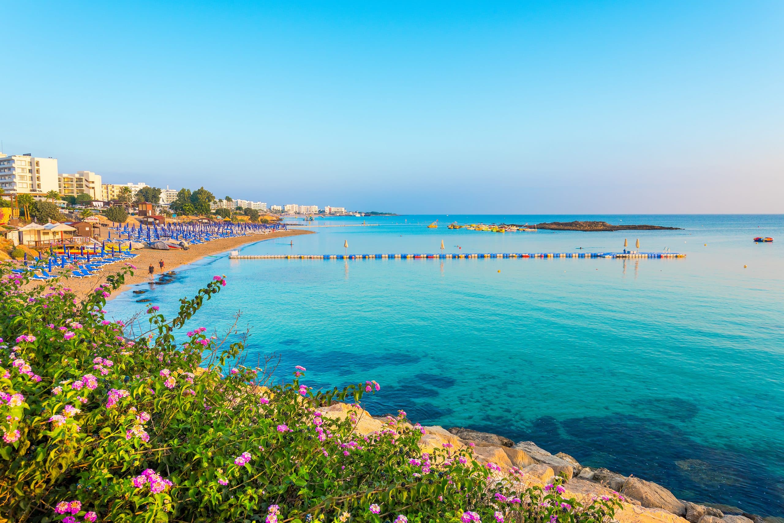 Fig,Tree,Bay,Beach,In,Protaras,,Cyprus