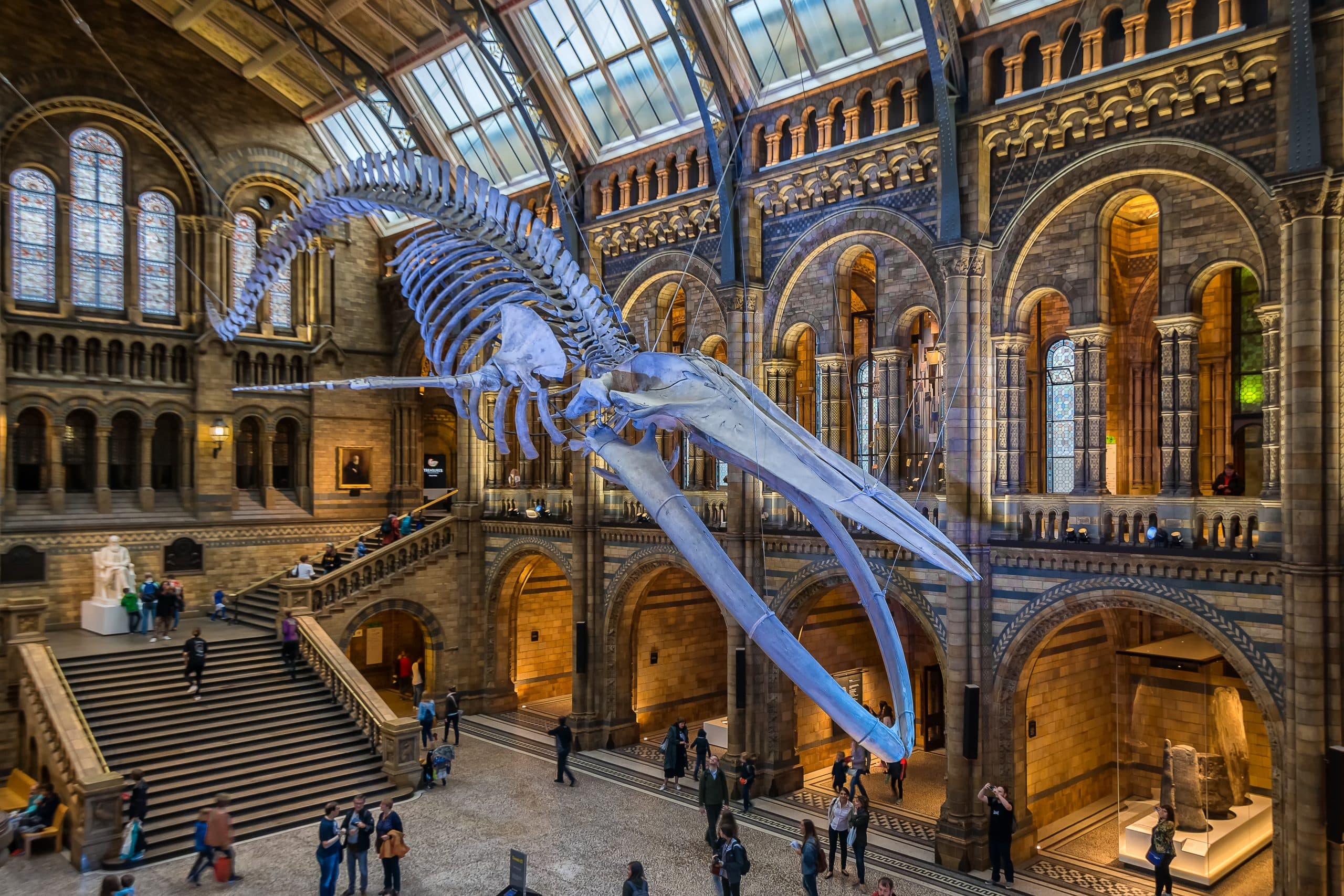 London,,United,Kingdom.,Circa,August,2017.,Blue,Whale,Skeleton,In