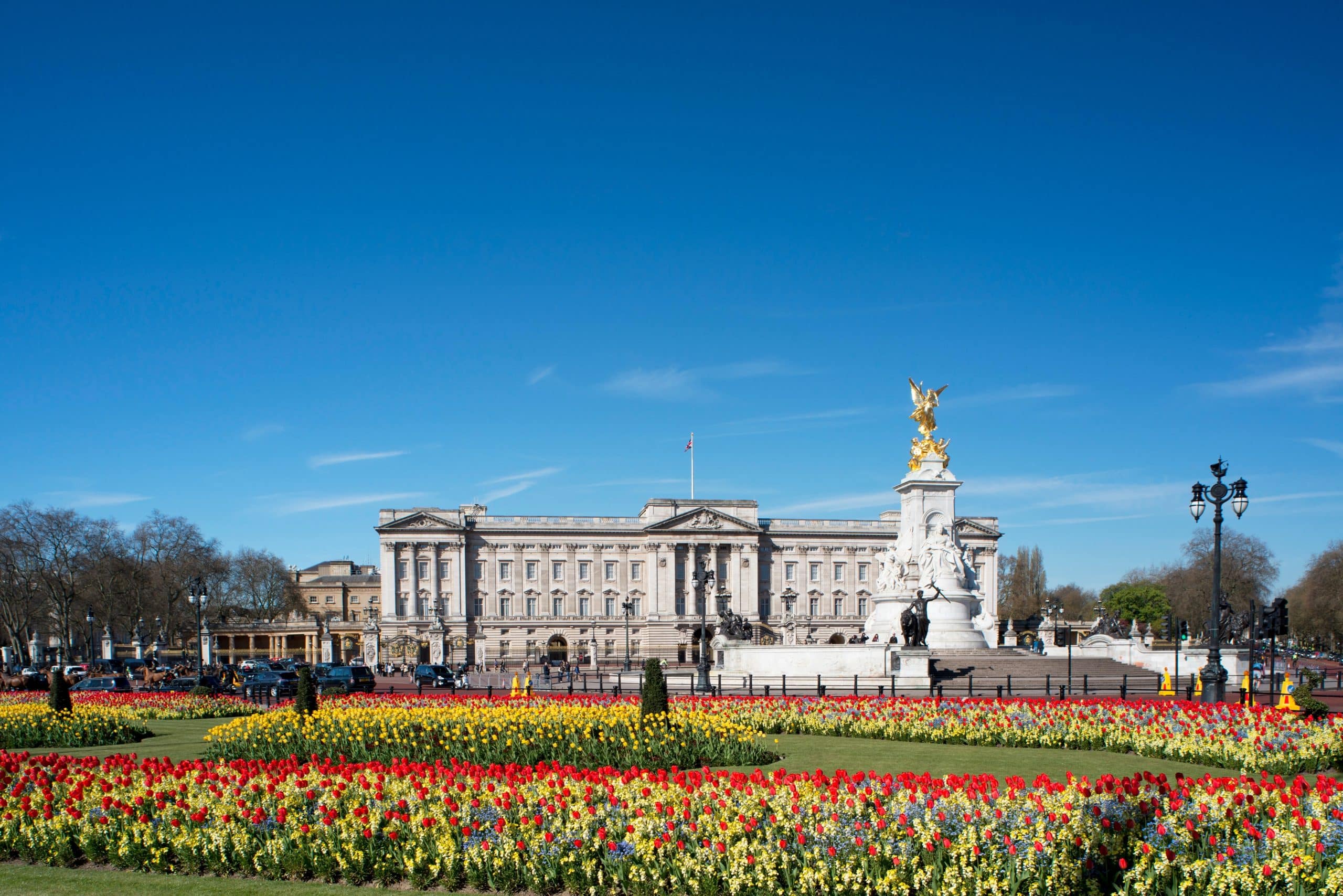 Red,And,Yellow,Tulips,Growing,In,Front,Of,Buckingham,Palace