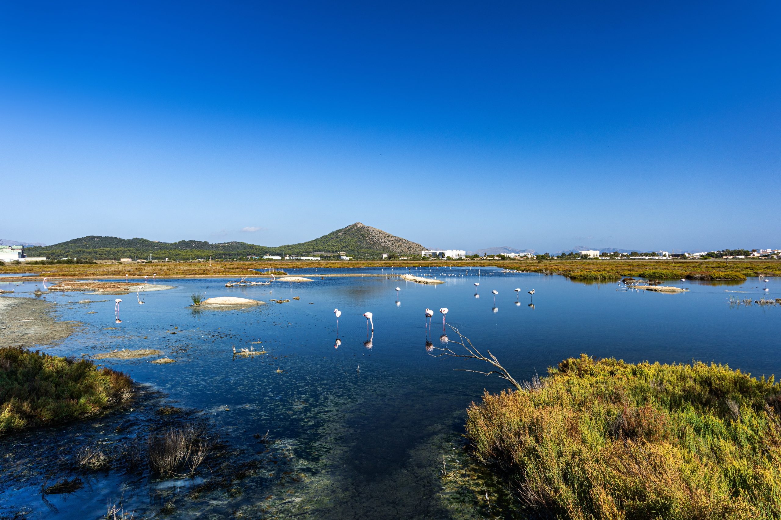 National,Park,S`albufera,Majjorca,Mallorca,Spain